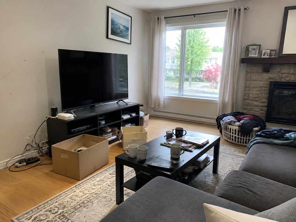 A living room shown with clutter and then with the clutter removed. — before